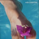 보현노인전문요양원