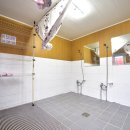 팡팡캠핑장 이미지