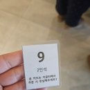 세종 브런치 카페, ON the calm brunch KIchen &#39;온기&#39; 내돈내산 후기