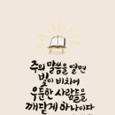 V-11 이미지