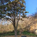 신선계곡주차장 | 고창 선운산 도솔계곡 트래킹_2026.2.21