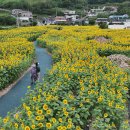 신봉 더코리아