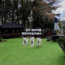 멍멍이와 숲속에서 이미지