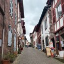 의료법인 안아픈마을 | [산티아고 순례길 D-1] 프랑스 생장에서 병원간 후기