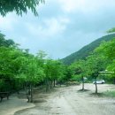 피아프스테이 이미지