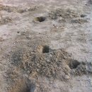 위도해수욕장 이미지