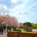 GS25 부평공원 이미지