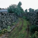 올래올래 이미지