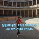 궁전라이브 | 알함브라 궁전 오디오가이드 후기 투어라이브로 완전히 달라진 여행 (코미꼬)