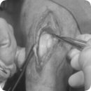 잠실종합동물병원 이미지