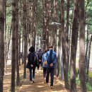 경춘선솔밭길 이미지