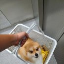 송악 동물병원 이미지