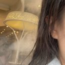 두정역 | 천안 두정동 미용실 [찰스리헤어테크 두정역점] 모발클리닉 후기