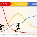 경희대고려체육관 | 건강한 다이어트를 원한다면 ,허슬원 크로스핏