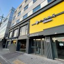 스탠퍼독 이미지