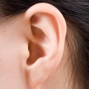 자주고름 이미지