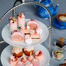 체리블러썸 이미지