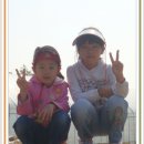 중산농원 Daum카페