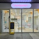 두유네 애견미용실 이미지