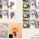 누루세미 이미지