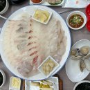 충청도횟집5호