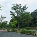 입화산 제2오토야영장 이미지