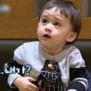 어떤 꽃말도 너의 하루보다 중요하지 않다는 걸 말해야 했는데