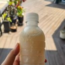 맛드림찐빵만두 이미지
