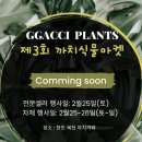 식물마켓