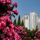 중동 근린공원 이미지