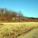 특구로27번길 이미지