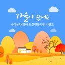 보은전통시장 네이버블로그