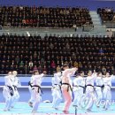 한반도태권도 이미지