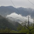 새터민박 이미지