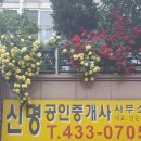 신명공인중개사사무소 이미지