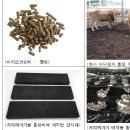 145커피 이미지