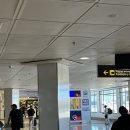 KLM 비즈니스 탑승후기 / 마드리드 - 네덜란드 - 인천 경유/ 마드리드 공항 택스리펀 방법