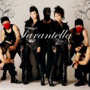 정립전자 이미지