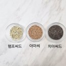 좋은씨앗 티스토리