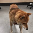 동천동 주민센터 이미지