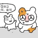 카페모목지