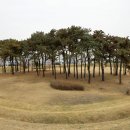 축구장보다 조금 더 큰 평택 농성(農城)