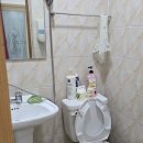 해오름 | 정동진펜션 해오름펜션&amp;모텔 숙박 솔직후기