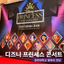 2024 디즈니 프린세스 콘서트 브로드웨이팀 내한 공연 경희대학교 평화의 전당 1층 시야 후기