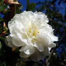 영주삼봉병원 이미지