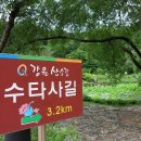 임학주유소 이미지