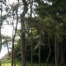 선촌(게이트볼장) 이미지