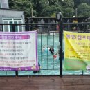 남이섬설1 이미지