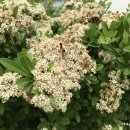 삼계초등학교 이미지