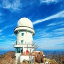 제000차(년ㅇㅇ차)정기산행:금산 서대산(904m),일시:2024년0월0일00시00분 이미지